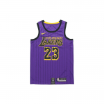 Nike NBA Los Angeles Lakers LeBron James City Fan Edition S&auml;rk Lilla Meeste Streetwear AJ4618-510 S
