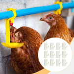 12Pcs Chicken Waterer Tee Fittings Easy to Install, Spare Parts, Durability 1/2 Accessories for