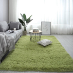 Valge Kohev Vaip Pl&uuml;&uuml;svaibad Elutoa Kaunistus Paksendatud Magamistoa Voodi&auml;&auml;rsed Matid Libisemisvastased Laste Toa Pehmed Suured Vaibad 60x160CM 23x62inch
