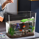 Betta kala akvaarium L&auml;bipaistev lauaakvaarium Kilpkonna akvaarium Algaja dekoratiivkala kauss Mitmeotstarbelised alad V&auml;ike akvaarium Akvaarium spain gray