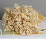 90g Kuivatatud L&otilde;hnav K&uuml;lm Lill Kimp Looduslikud Kuivatatud Lilled Gypsophila S&otilde;brap&auml;ev Pulmad Kaunistus Kodu Lauale J&otilde;uludeks 90g