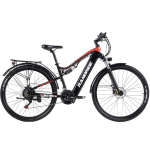RANDRIDE YG90B-29 Linnaelektrirattad 1000W mootor 48V 17Ah aku 29-tollised rattad h&uuml;draulilised pidurid.