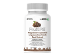 Fruitpill Jaapani kirburohu juureekstrakt 500 mg, 60 kapslit