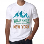 Meeste vintage T-s&auml;rk Graafiline T-s&auml;rk Wilderness New York White XS valge