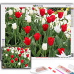 DIY 5D Teemantmaaling Lilled Tulbid Ristpistes Komplekt t&auml;ispuur Tikand Mosaiik Kunst Pilt kividest Kingitus Full Round 20X30CM