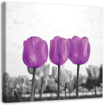 L&otilde;uendiprint Tulips Meadow Nature Flower Purple 30x30 lilla