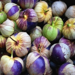 100 purple Tomatillo seemet - Physalis tomati k&ouml;&ouml;giviljaaed - paljundatavad talupojaseemned - Semiwild