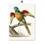 Papagoilind Vintage seinakunst V&auml;rviline koolibri l&otilde;uendimaal P&otilde;hjamaade plakatid ja tr&uuml;kised Seinapildid elutoa sisekujunduseks Ilma raamita 21*30cm