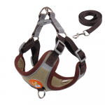 No Pull Pet Dog rakmed ja jalutusrihma komplekt Reguleeritav kutsikakassi rakmete vest helkurjalutusrihm v&auml;ikestele koertele Chihuahua S 2-3 kg roheline
