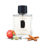 Suave Spirit | Eau de Parfum | Sweet & Spicy Unisex Perfume |Premium Fragrance for Gift, 100 ml 100 ML