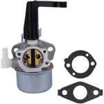 Karburaator Carb 110402 110412 215369 696065 697422 Tiisli Mootorile Tihendiga, OPFBA288
