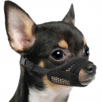 V&otilde;rgust koonukott l&uuml;hikese koonu ja v&auml;ikeste/keskmiste koerte jaoks, hammustamisevastane, keskendub brahh&uuml;tsefaalsetele koertele nagu Chihuahua, Pomeranian M