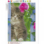 Huacani 5d teemantmosaiikristpistega kass Pilt kividest Teemanttikandid Allahindlus Lastetoa sisustus 30*40 cm
