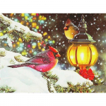 5D DIY Teemanttikandid Maalimine Linnukunst Rhinestone Full Drill Uus Saabumine Mosaiik Loomade Talvine N&auml;put&ouml;&ouml; Kodukaunistus Full Round 20X30CM punane