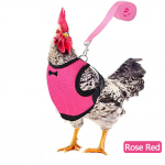 Hingavast v&otilde;rkkangast pardivest jalutusrihmad kodulindude kana lemmikloomade rakmed koos sobiva koolitusega pardi-hane-kana kuke jalutamiseks S