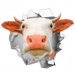 13x13 cm 3D lehmapea, auto stiiliga PVC helkurkleebis, looma naljakas kleebis