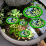 5 Pc Aquarium Floating Plant Corral for Keeping Plants in Place roheline