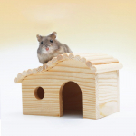 Puidust hamstri peidumaja onn K&auml;sit&ouml;&ouml;platvorm Loovus Magavad v&auml;ikesed loomad