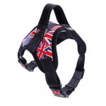 Sulgedeta koera juhtmestik Vesti juhtmestik V&auml;ikeste ja keskmiste suurte koerte lemmikloomatarvikud XS(2.5-5kg)