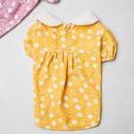 [Lemmikloom] Velvetist kleit L