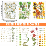 104 tk pressitud kuivatatud lillede komplekt Ehtsad looduslikud pressitud lillelehed DIY mitmeotstarbeline Ehtsad pressitud lilled kuivatatud lehtede komplekt