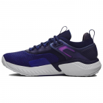 Under Armour Project Rock 5 Disrupt 'Bauhaus Blue' tossud 3025976-401 43