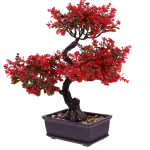 Kunsttaimed Bonsai Lauapealne V&auml;ike Puu Taim Poti Taimed Lilled Potitaimed Aia Dekooriks Kodu Ruumi Laua Dekooriks M punane