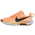 Nike Pegasus Trail 5 Nike React Jooksukingad Naiste Oranž DV3865-800 37.5 beige
