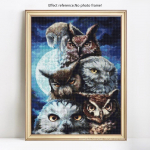 5D DIY teemantmaal T&auml;isruudukujuline loom &ouml;&ouml;kull tikandid Pilt Rhinestone Diamond 20X30