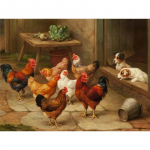 Teemantmaaling Farm Animal Chicken Full Round Drill Teemanttikandid Ristpistes 20X30CM