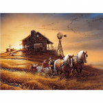 Teemantmaal T&auml;is&uuml;mmargune rhinestone &ouml;&ouml;vaade Red Moon Teemanttikandid Ristpistes 20X30CM