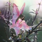 T&auml;ielik 5D-teemantmaali koomiks liblikas t&uuml;druku tikandid ristpistes kodukaunistusega k&auml;sitsi valmistatud kingitus 25x25cm