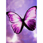 Isetegija 5D teemantmaaling t&auml;isring puur liblikas muster teemanttikandid ristpistes mosaiigikomplektid kodukaunistus seinakunsti kingitus Full Round 20x30CM