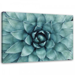 Feeby l&otilde;uenditr&uuml;kk, sinine aloe vera 60x40 roheline