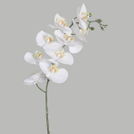 Kunstlilled Phalaenopsis t&otilde;eline puudutus 35-tolline elutuba hotelli paigutus kodumajutuse aed kodukaunistus 3D tunne Phalaenopsis HQ-214-white-