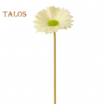 V&otilde;ltslillede tuhmumisvastane kaunistus Kunstnahk Suurep&auml;rane &uuml;heharuline kodupeo aiakaunistus Gerbera kunstlillede majapidamistarbed valge