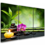 Kolmeosalise pildiga l&otilde;uenditr&uuml;kk Orchid Bamboo Stones 60x40 roheline