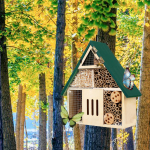 Bee Hotel tolmeldav saepuru ilmastikukindel lepatriinu liblika lepatriinu elupaik &otilde;ueaias