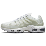 Nike Air Max Terrascape Plus Valged Puhta Platinumiga Tennised Vabaajajalatsid DQ3977-100 41 white