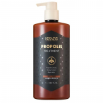 KERASYS Propolise kahjustusi parandav hooldus 1000 ml