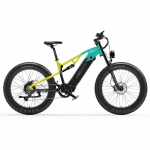 LANKELEISI RV800 Plus 48V20Ah Eemaldatav Aku,750W Mootor,52KM/H,70-120KM S&otilde;iduulatus,26*4.0 Tolli Rehvid M&auml;gi Maastikuratas E-bike kollane/roheline