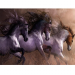 teemantmaaling kleebis teemanttikandid maalimine teemantmosaiiktikandid maalimine ristpistes 20X30CM