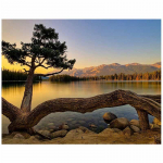 Teemanttikandid Maastik Puu Vesi M&auml;gi J&auml;rv N&auml;put&ouml;&ouml; Teemantmaaling Ristpistes 20X30CM