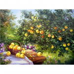 Teemantmaal Apelsinipuu Teemantmaal Rhinestone'i Tee isetehtud teemantmosaiik 20X30CM