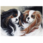 Charles spanjeli lemmikloom T&auml;ispuur Round Diamond Tikand 5D Teemantmaal 20X30CM