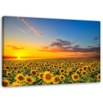 L&otilde;uenditr&uuml;kk Sunflowers Sunset 60x40 sinine