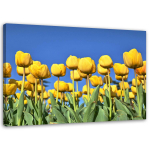 L&otilde;uendiprint Tulips Flowers Nature 60x40 sinine