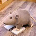 1 tk 20 cm uus mini pehme pl&uuml;&uuml;sis simulatsioonihiir Plushie nukk t&auml;idisega roti pl&uuml;&uuml;sloom m&auml;nguasi maskott Peluche hiirenukk lastele