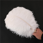 1 tk jaanalinnu sulgedest pulmapeo kaunistus V&auml;rviline k&auml;sit&ouml;&ouml;ks Naturaalsest nahast jaanalinnu laua keskosad plumas Decor 20-25cm