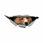 Aukudesse peidetud Beagle'i autokleebised Veekindlad ebakorrap&auml;rase kujuga autokaunistuskleebised 15cm-Longest Side